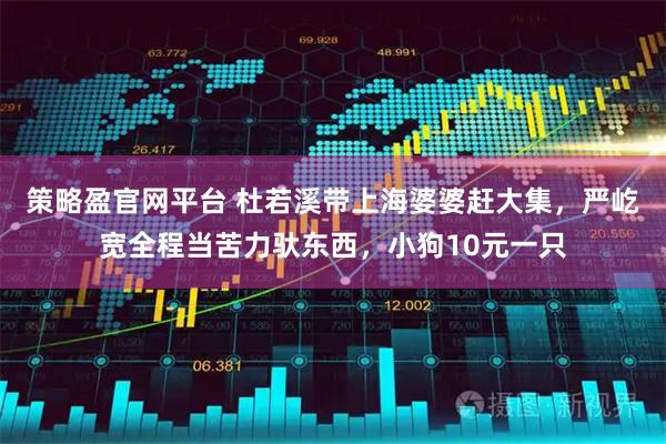策略盈官网平台 杜若溪带上海婆婆赶大集，严屹宽全程当苦力驮东西，小狗10元一只